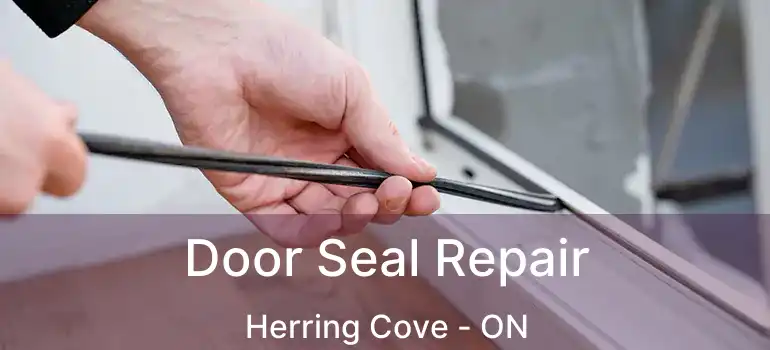  Door Seal Repair Herring Cove - ON