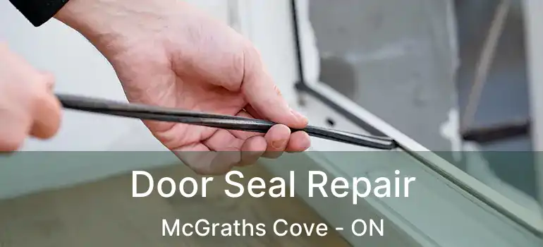  Door Seal Repair McGraths Cove - ON