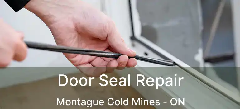  Door Seal Repair Montague Gold Mines - ON