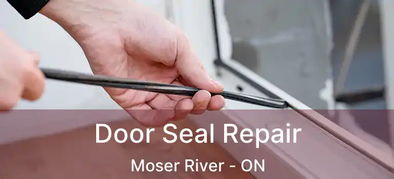  Door Seal Repair Moser River - ON