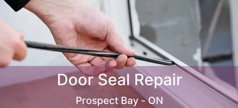  Door Seal Repair Prospect Bay - ON