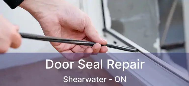  Door Seal Repair Shearwater - ON