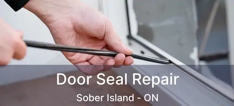  Door Seal Repair Sober Island - ON