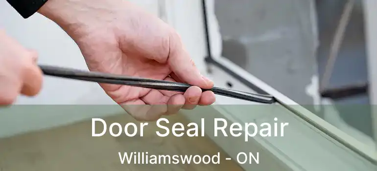  Door Seal Repair Williamswood - ON