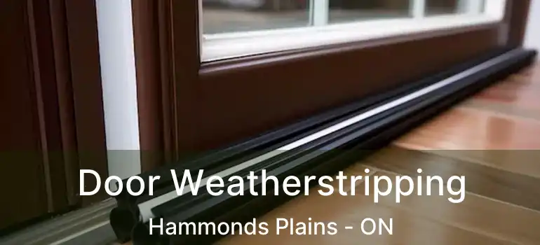  Door Weatherstripping Hammonds Plains - ON