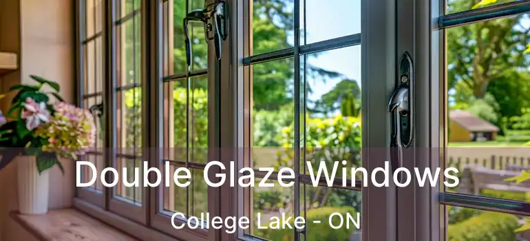  Double Glaze Windows College Lake - ON
