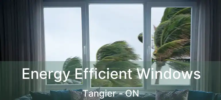  Energy Efficient Windows Tangier - ON