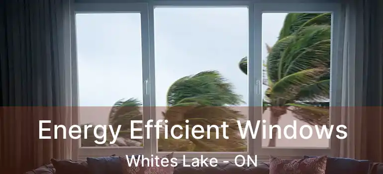  Energy Efficient Windows Whites Lake - ON