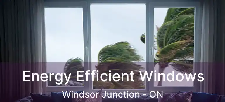  Energy Efficient Windows Windsor Junction - ON