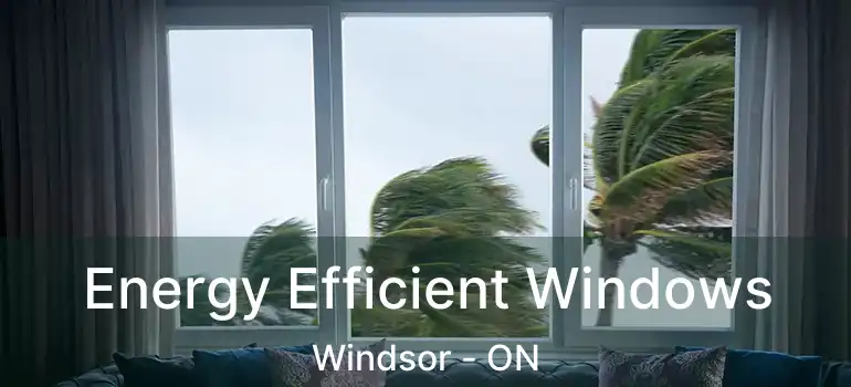  Energy Efficient Windows Windsor - ON