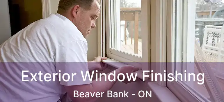  Exterior Window Finishing Beaver Bank - ON