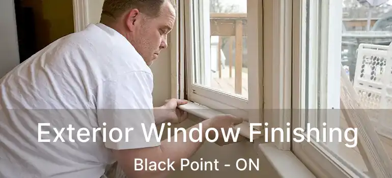  Exterior Window Finishing Black Point - ON