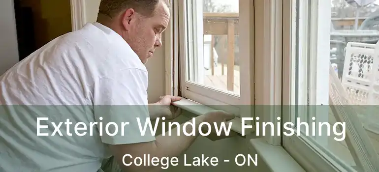  Exterior Window Finishing College Lake - ON