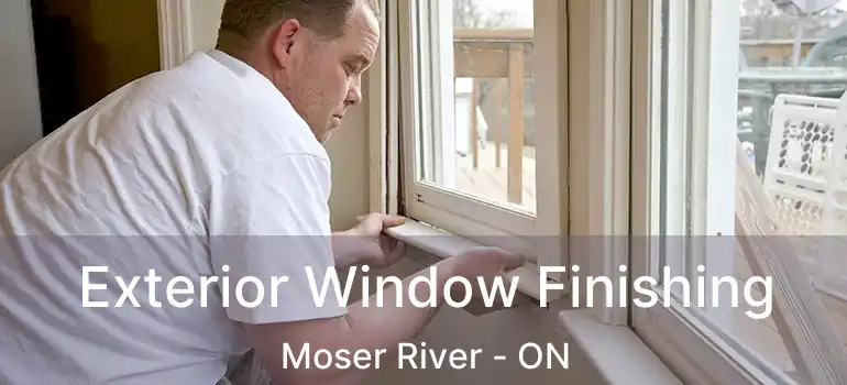  Exterior Window Finishing Moser River - ON