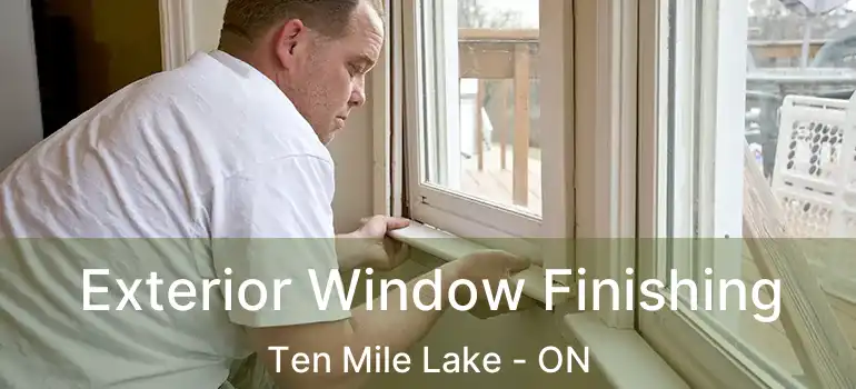  Exterior Window Finishing Ten Mile Lake - ON