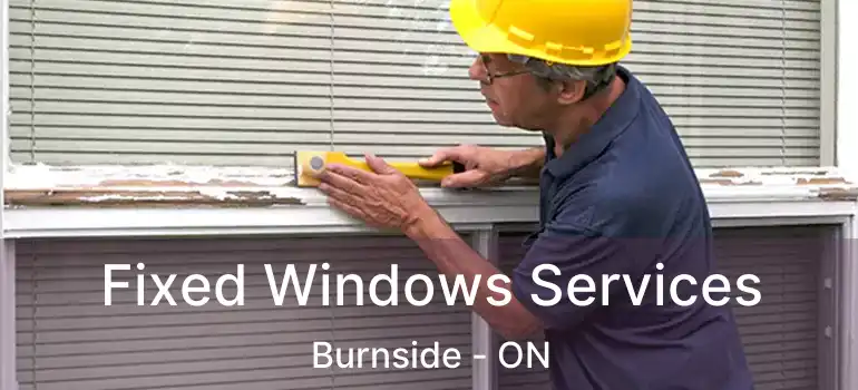  Fixed Windows Services Burnside - ON