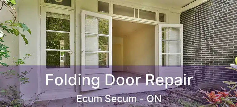  Folding Door Repair Ecum Secum - ON