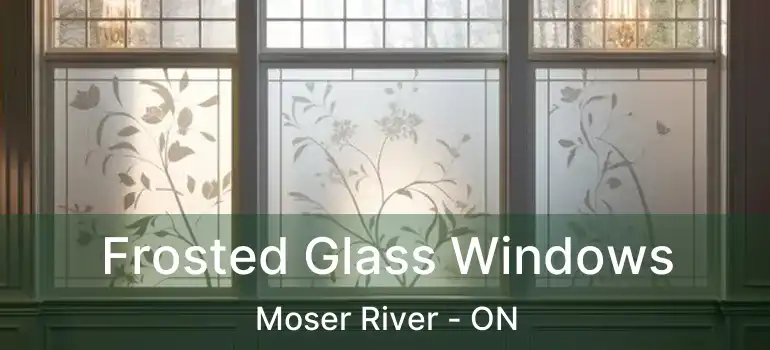  Frosted Glass Windows Moser River - ON