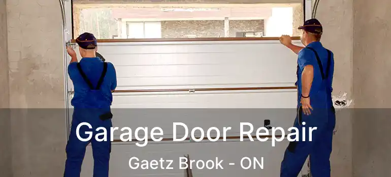  Garage Door Repair Gaetz Brook - ON