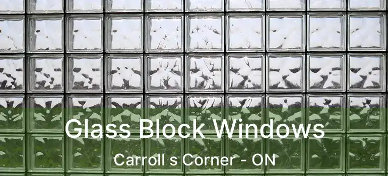  Glass Block Windows Carroll s Corner - ON