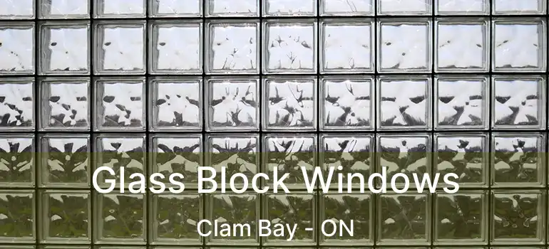  Glass Block Windows Clam Bay - ON