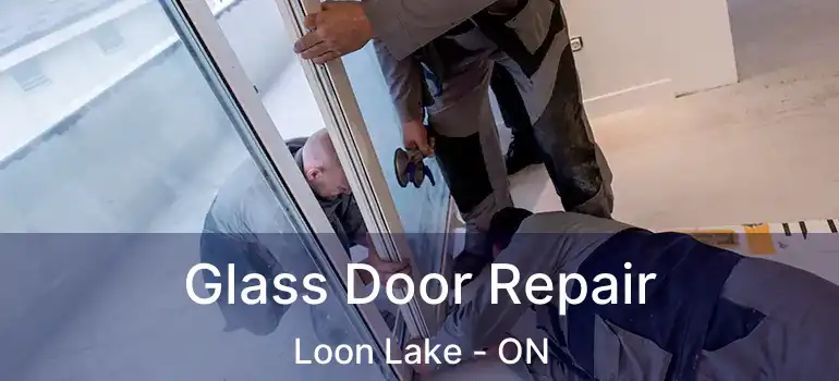  Glass Door Repair Loon Lake - ON
