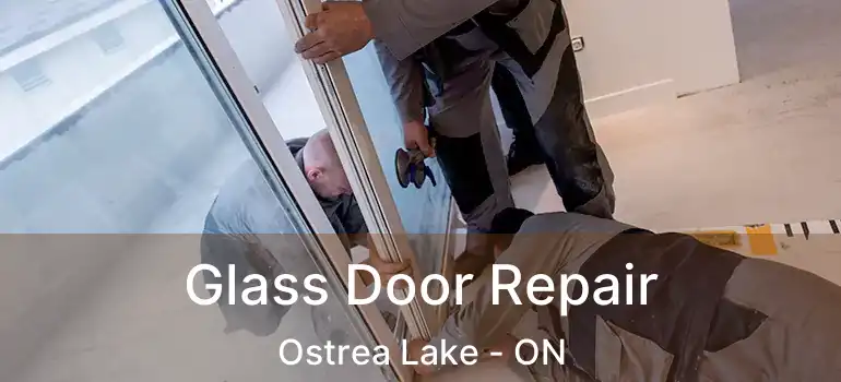  Glass Door Repair Ostrea Lake - ON