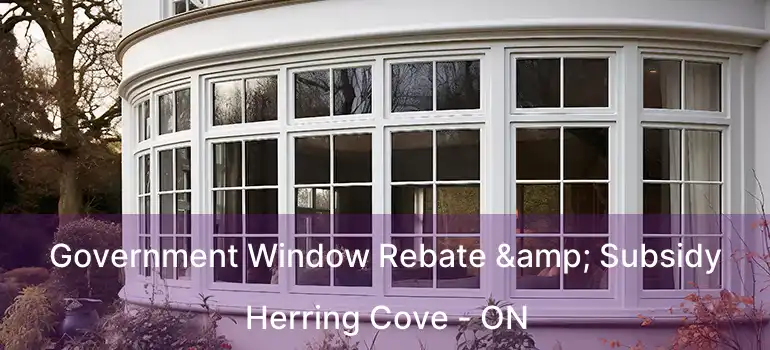 Government Window Rebate & Subsidy Herring Cove - ON