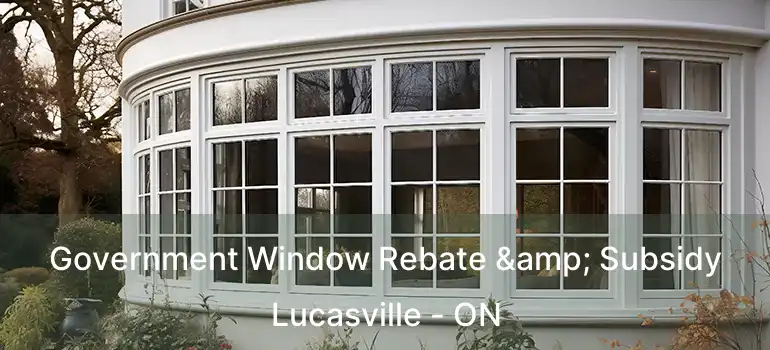 Government Window Rebate & Subsidy Lucasville - ON