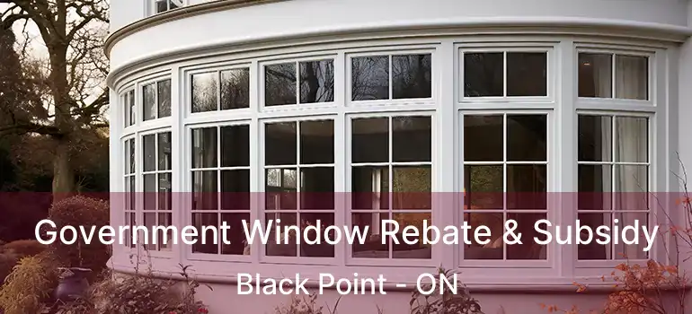  Government Window Rebate & Subsidy Black Point - ON