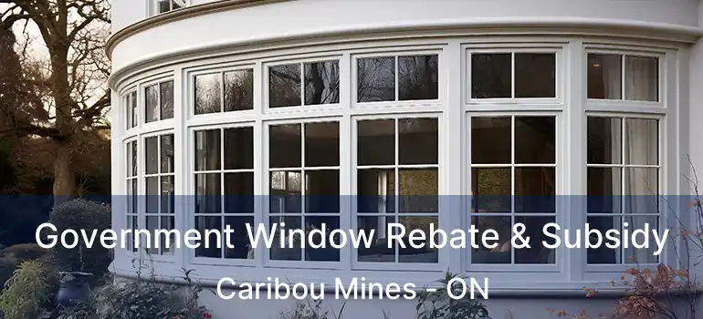  Government Window Rebate & Subsidy Caribou Mines - ON