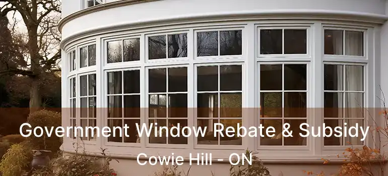  Government Window Rebate & Subsidy Cowie Hill - ON