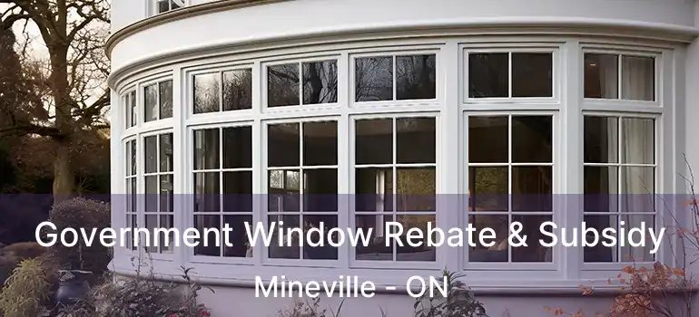  Government Window Rebate & Subsidy Mineville - ON