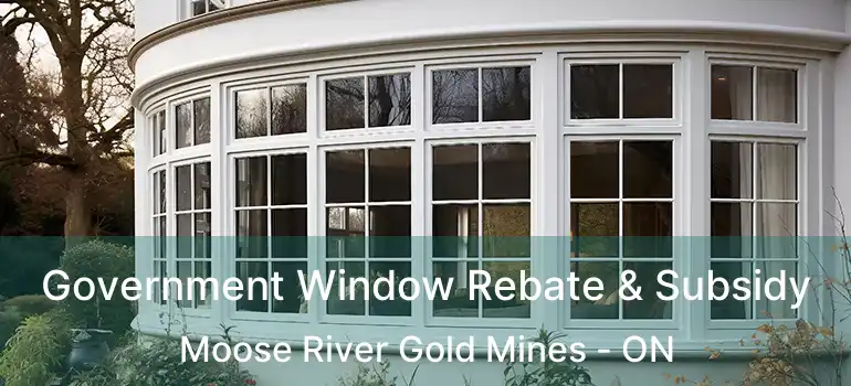  Government Window Rebate & Subsidy Moose River Gold Mines - ON