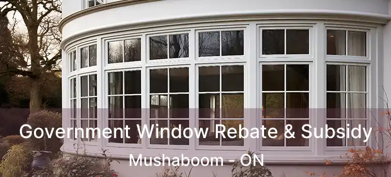  Government Window Rebate & Subsidy Mushaboom - ON