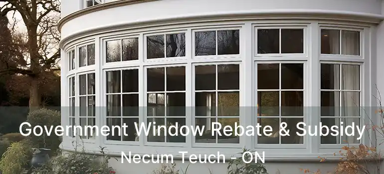  Government Window Rebate & Subsidy Necum Teuch - ON