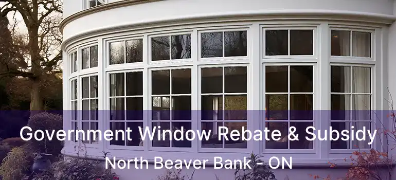  Government Window Rebate & Subsidy North Beaver Bank - ON