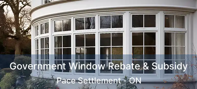  Government Window Rebate & Subsidy Pace Settlement - ON