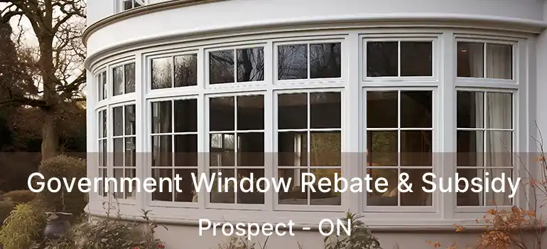  Government Window Rebate & Subsidy Prospect - ON