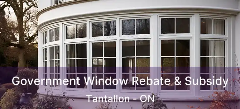  Government Window Rebate & Subsidy Tantallon - ON