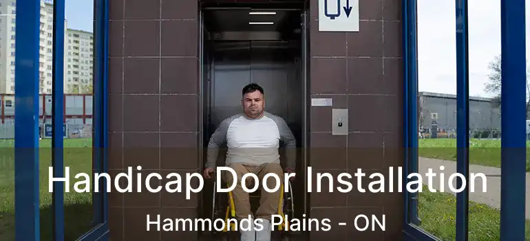  Handicap Door Installation Hammonds Plains - ON