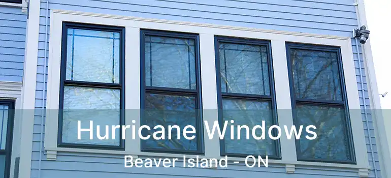  Hurricane Windows Beaver Island - ON