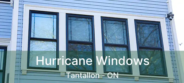  Hurricane Windows Tantallon - ON