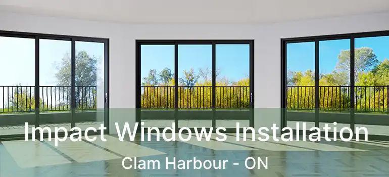  Impact Windows Installation Clam Harbour - ON