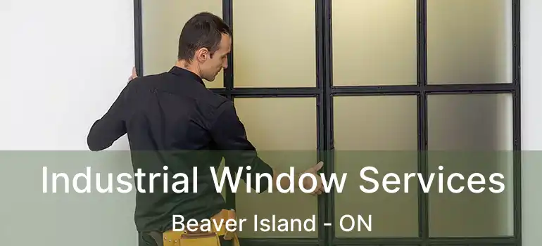  Industrial Window Services Beaver Island - ON