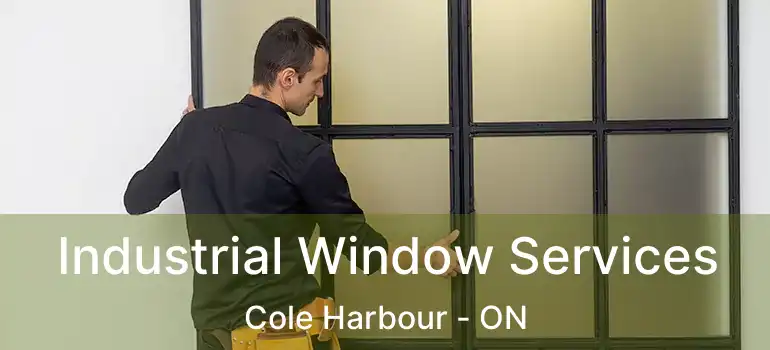  Industrial Window Services Cole Harbour - ON