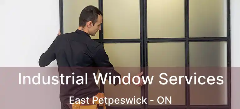  Industrial Window Services East Petpeswick - ON