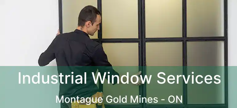  Industrial Window Services Montague Gold Mines - ON