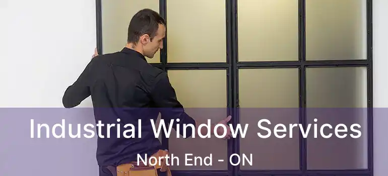  Industrial Window Services North End - ON