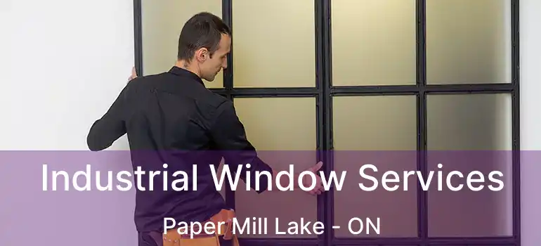  Industrial Window Services Paper Mill Lake - ON